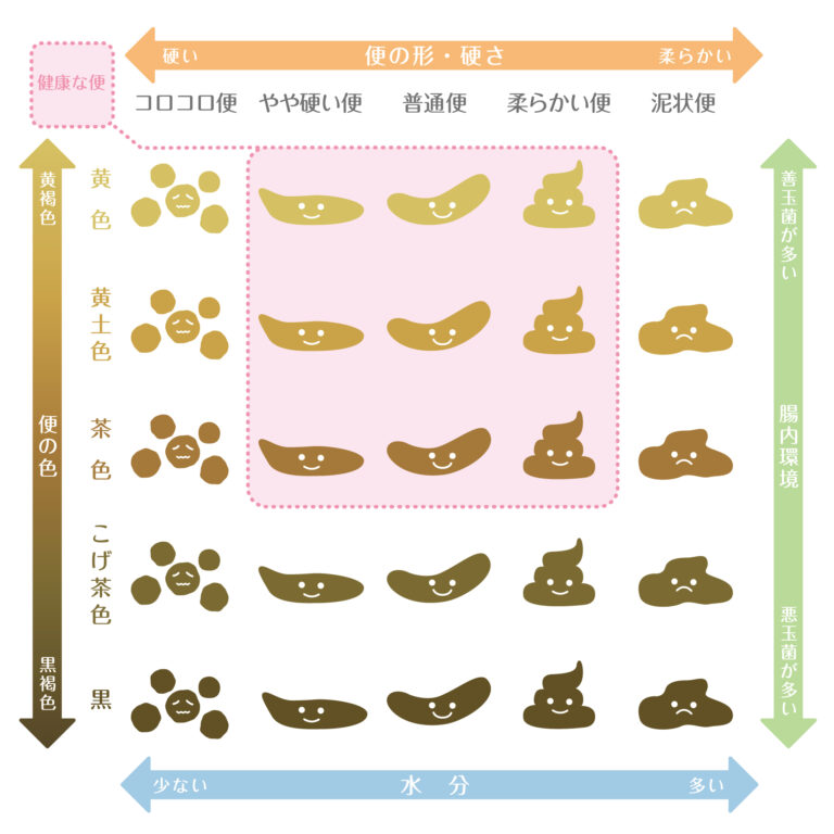 下痢の症状 | 下痢の改善相談室