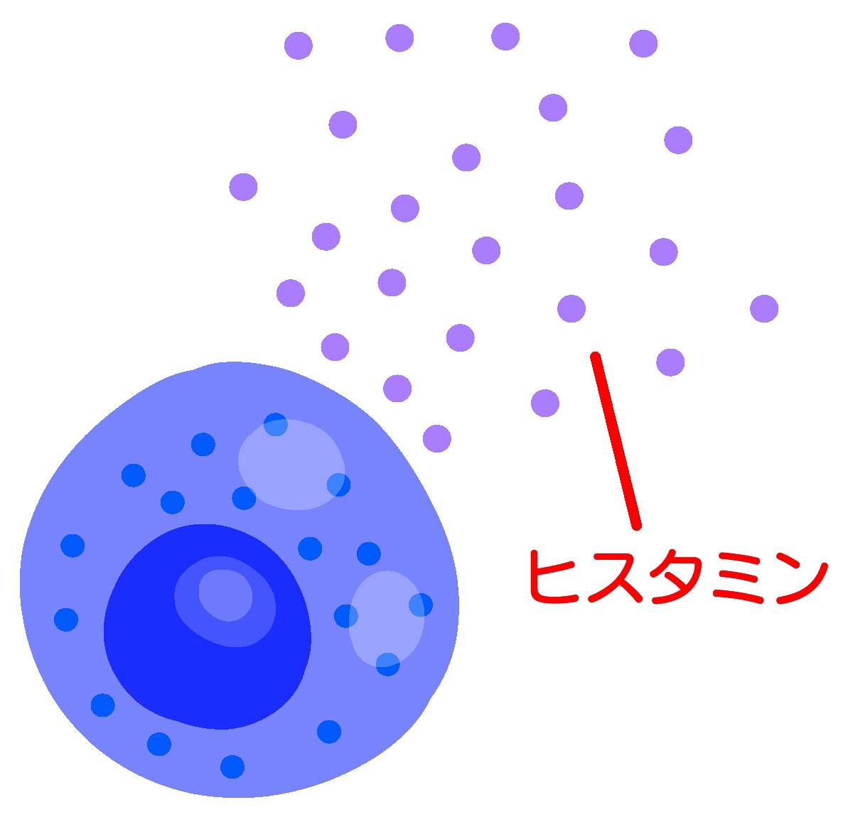 気をつけよう 夏の食中毒 下痢の改善相談室