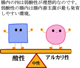 下痢はコンビニおにぎり 下痢の改善相談室