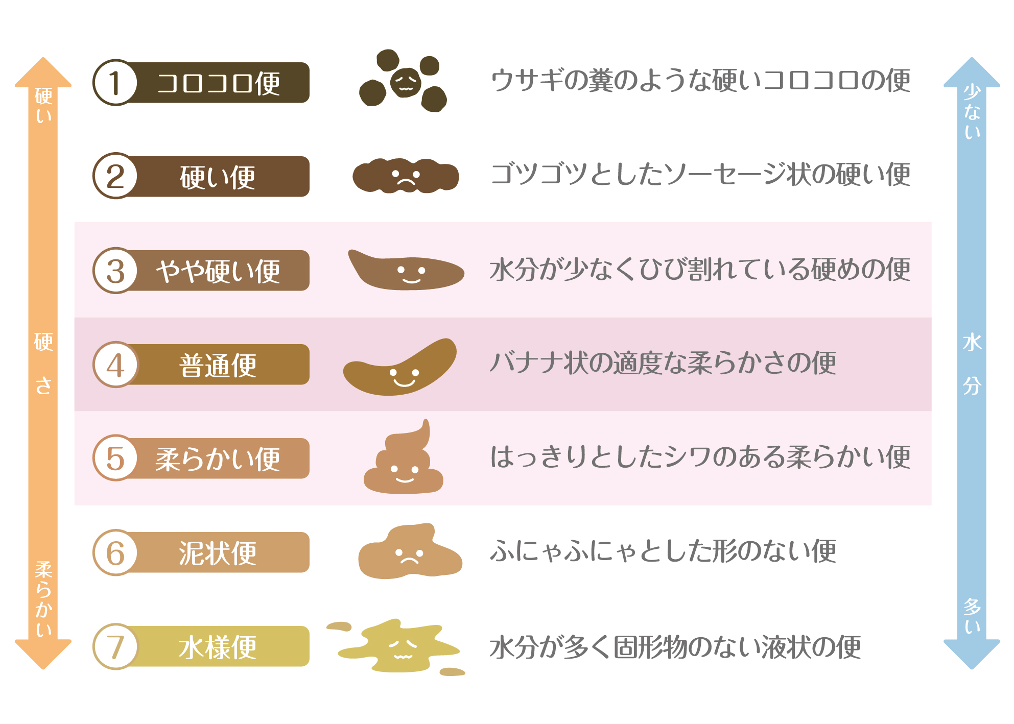 どうすれば正常な排便に戻ることができますか?